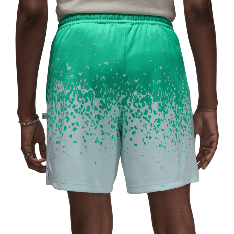 Air Jordan Apparel Air Jordan Zion Williamson Zion Shorts - Men's