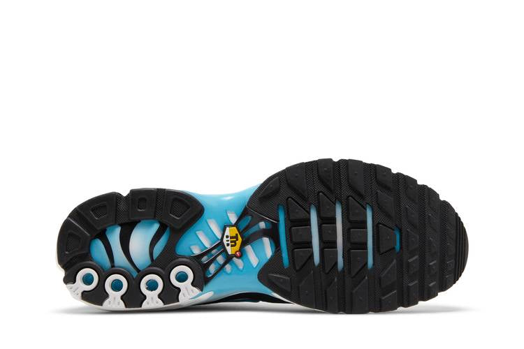 Air Max Plus Baltic Blue