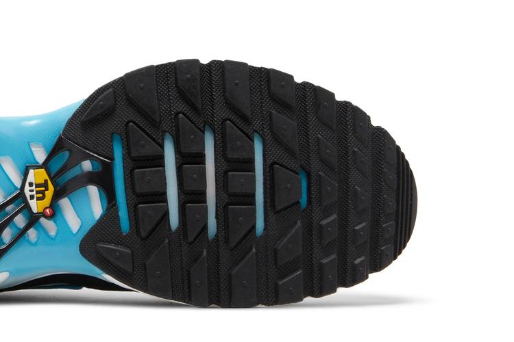 Air Max Plus Baltic Blue