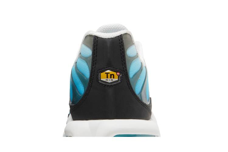 Air Max Plus Baltic Blue