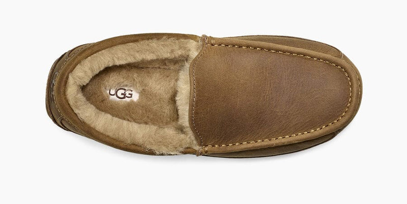 UGG Ascot Matte Leather slippers in brown with a stitched leather upper and plush shearling lining, top view.