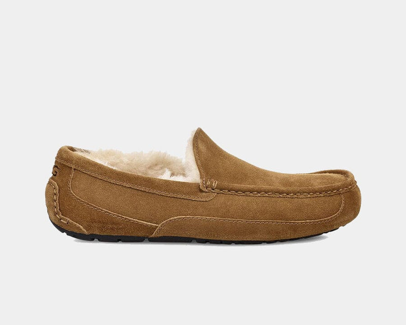 UGG Ascot Suede slippers in chestnut brown with plush sheepskin lining and moccasin-style stitching, side view.