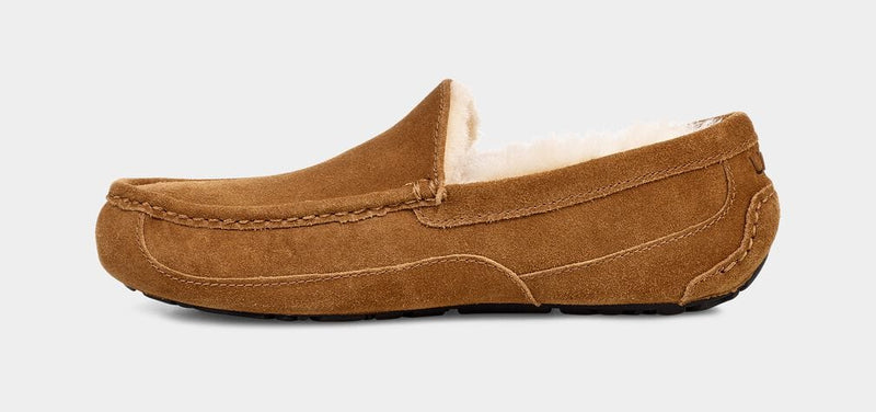UGG Ascot Suede slippers in chestnut brown with plush wool lining and moccasin stitch detail, side view.