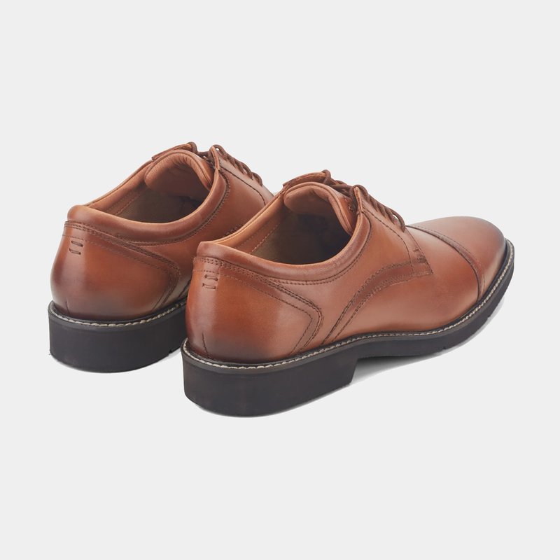 Rockport Findlay Lace-up Almond Toe Oxfords in brown leather with stitched detailing and dark rubber soles, back angle view.