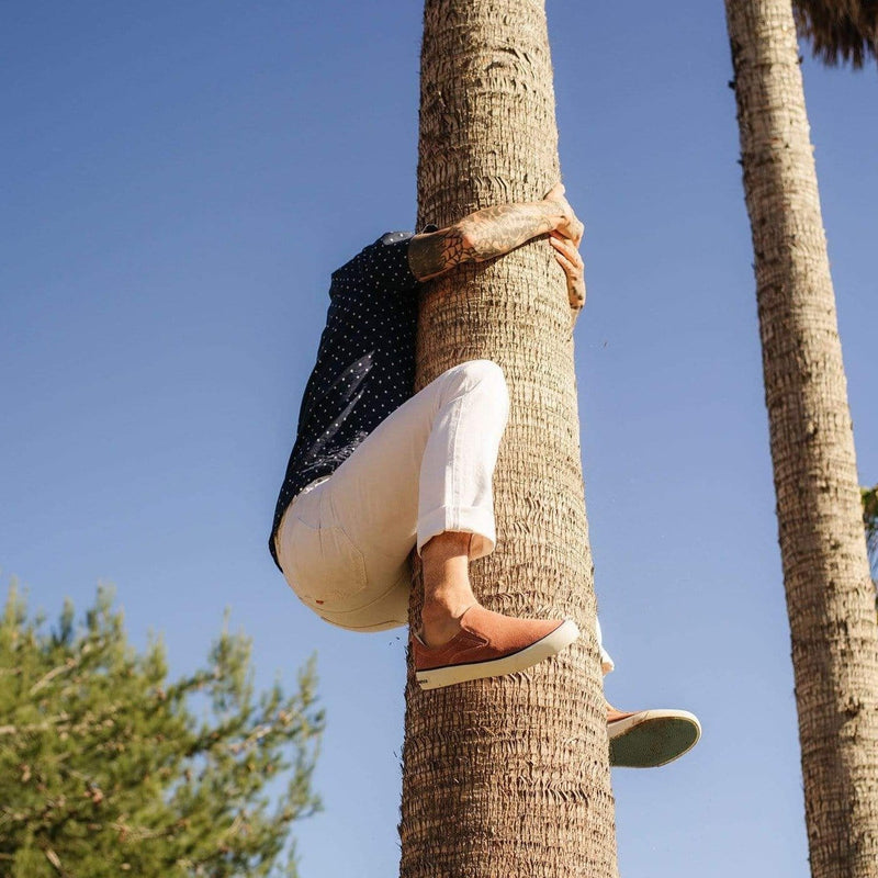 SeaVees Hawthorne Slip On shoes in brown canvas with white rubber sole, lifestyle view worn by person climbing a tree.