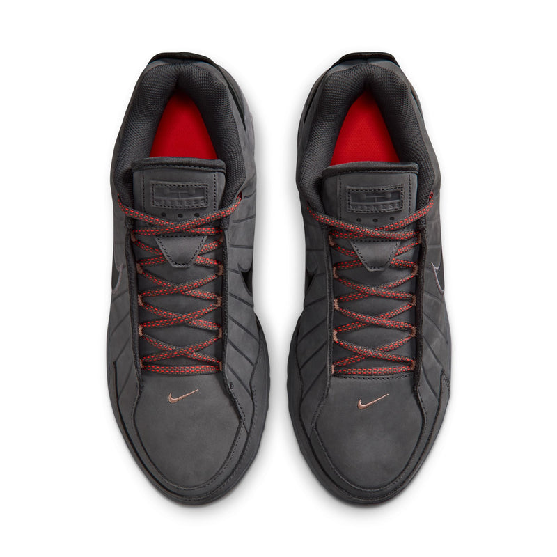 LeBron Witness IX