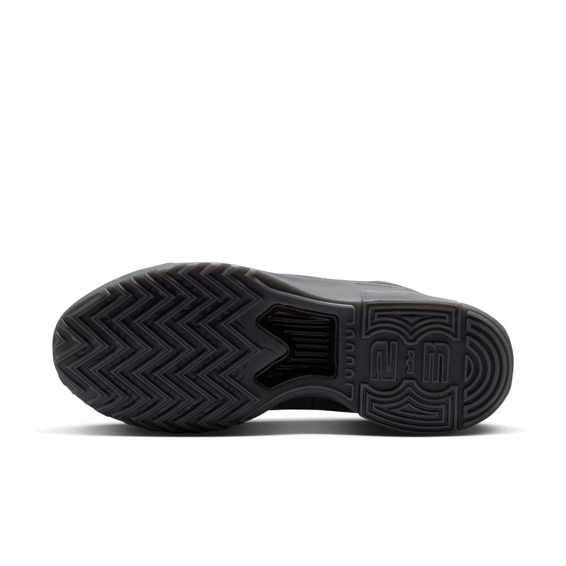 LeBron Witness IX