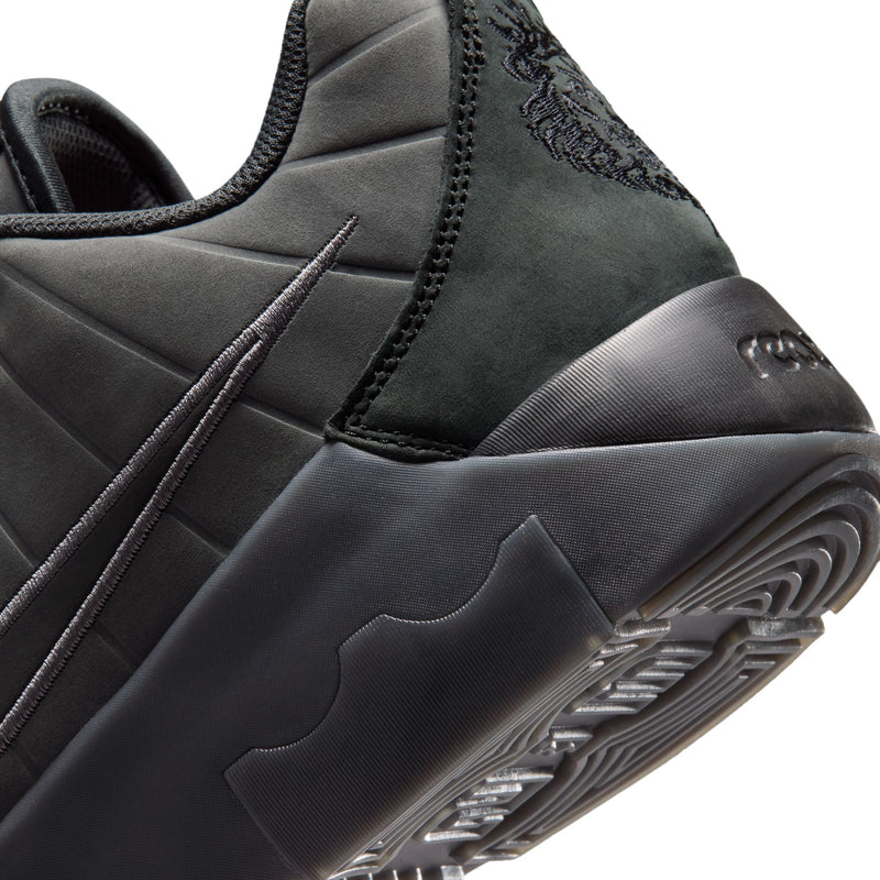 LeBron Witness IX