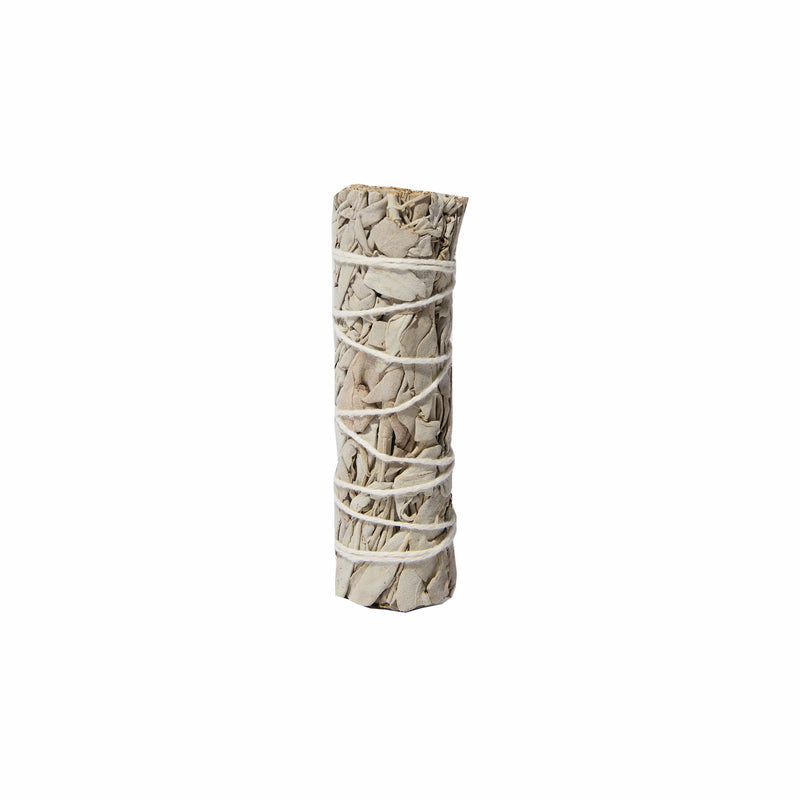 Neighborhood White Sage Bundle - August Shop