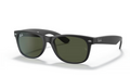 New Wayfarer Classic(2418)