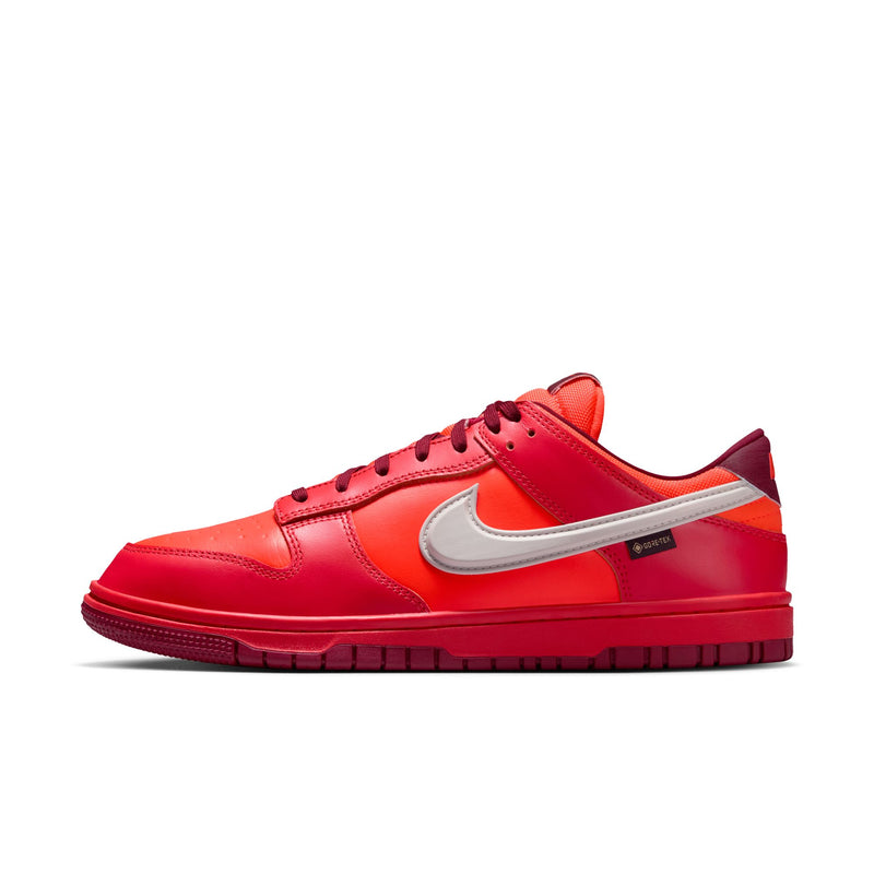 Nike Dunk Low GORE-TEX