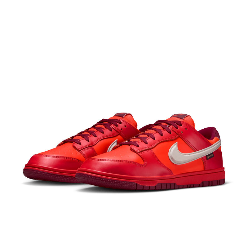 Nike Dunk Low GORE-TEX