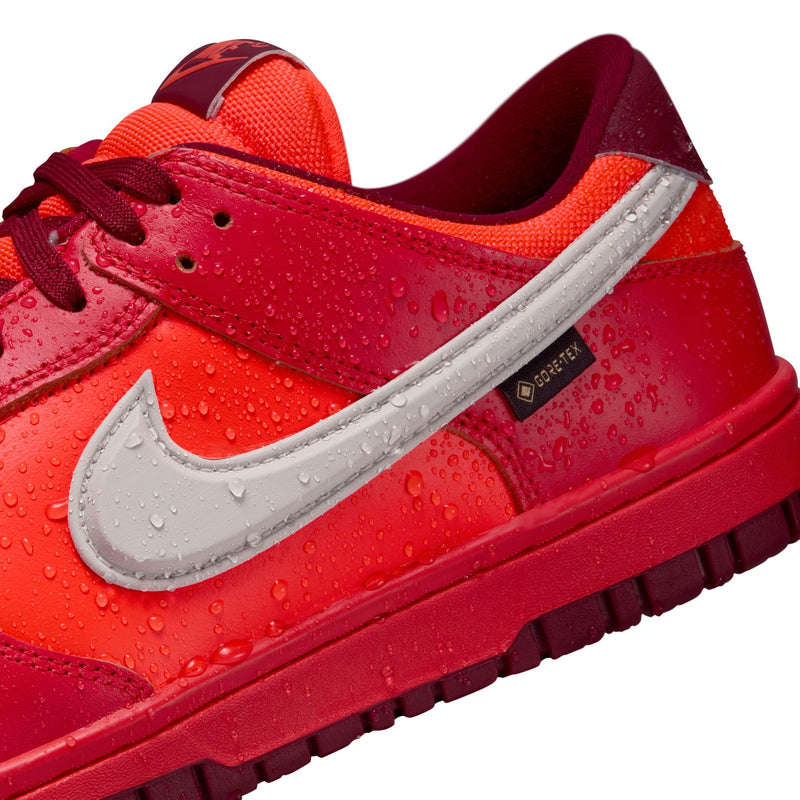 Nike Dunk Low GORE-TEX