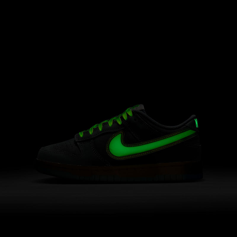 Nike Dunk Low (GS)