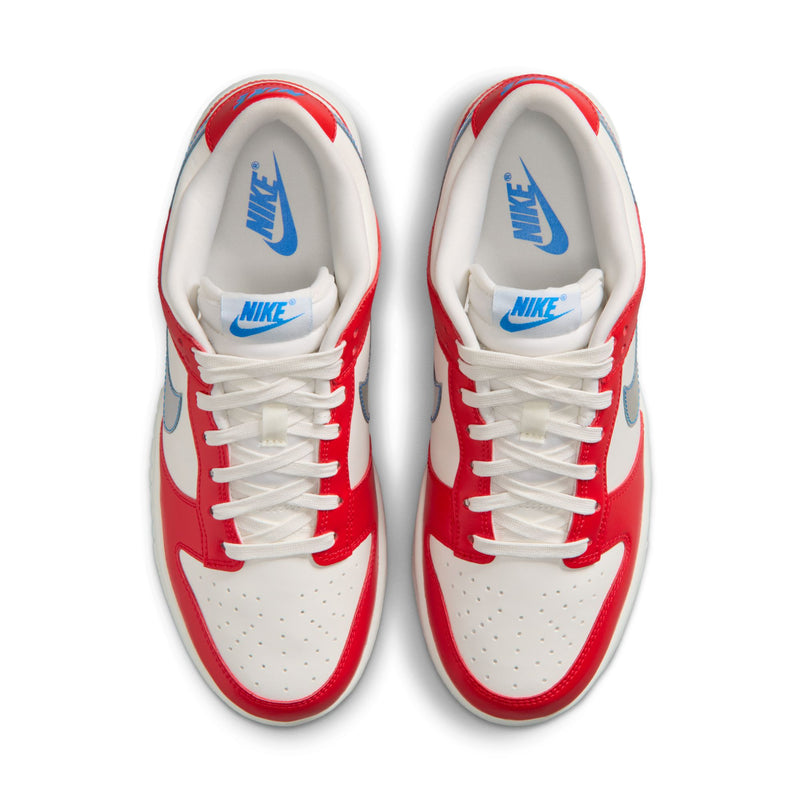 Nike Dunk Low (W)