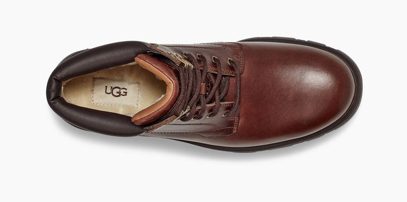 UGG Stenton shoes top view showing rich brown leather upper, padded collar, and lace-up design with UGG branding on the insole.